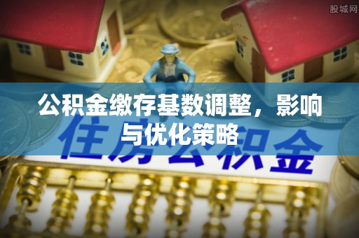 南召公积金缴存基数调整，影响与优化策略