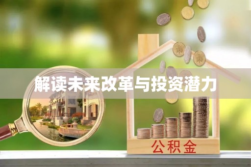 南召解读未来改革与投资潜力
