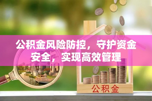 南召公积金风险防控，守护资金安全，实现高效管理