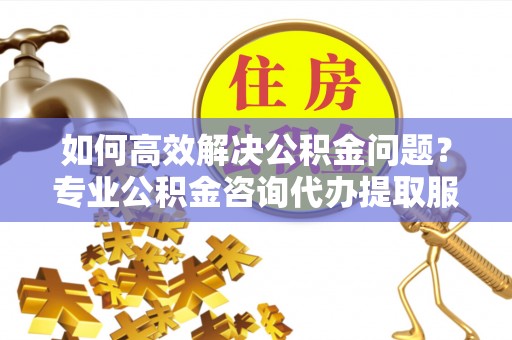 南召如何高效解决公积金问题？专业公积金咨询代办提取服务来帮你