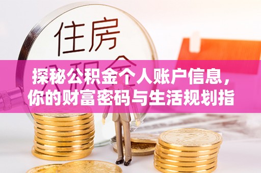 南召探秘公积金个人账户信息，你的财富密码与生活规划指南