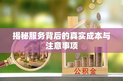 南召揭秘服务背后的真实成本与注意事项