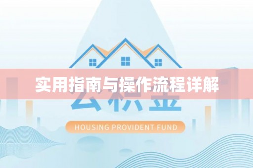 南召实用指南与操作流程详解