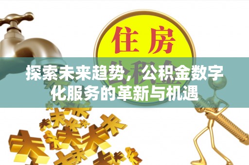 南召探索未来趋势，公积金数字化服务的革新与机遇