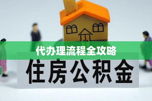南召代办理流程全攻略