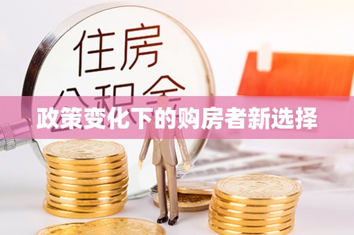 南召政策变化下的购房者新选择