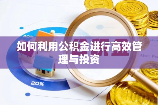 南召如何利用公积金进行高效管理与投资