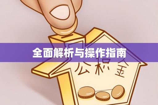 南召全面解析与操作指南