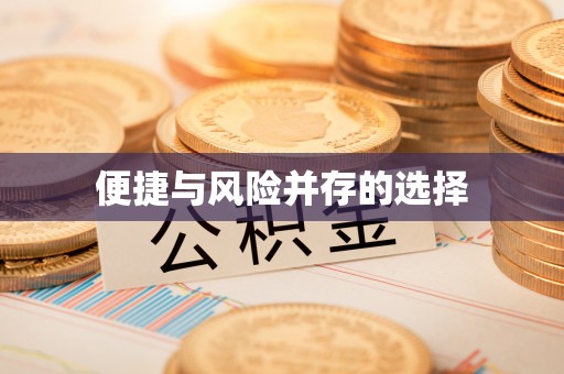 南召便捷与风险并存的选择