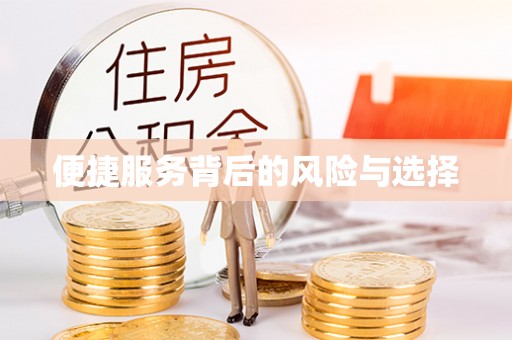 南召便捷服务背后的风险与选择