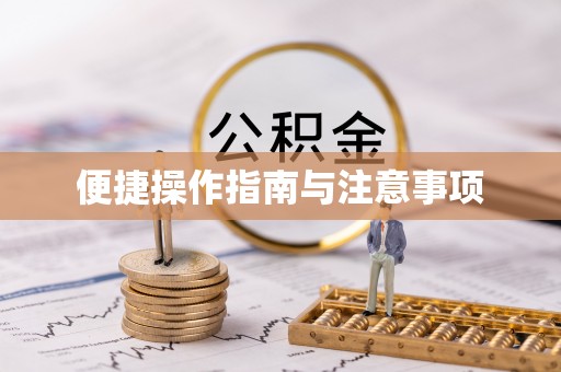 南召便捷操作指南与注意事项
