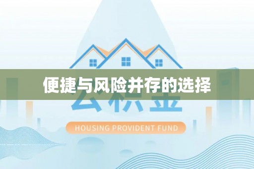 南召便捷与风险并存的选择