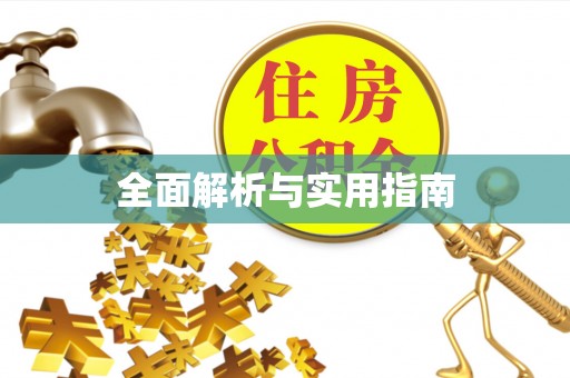 南召全面解析与实用指南