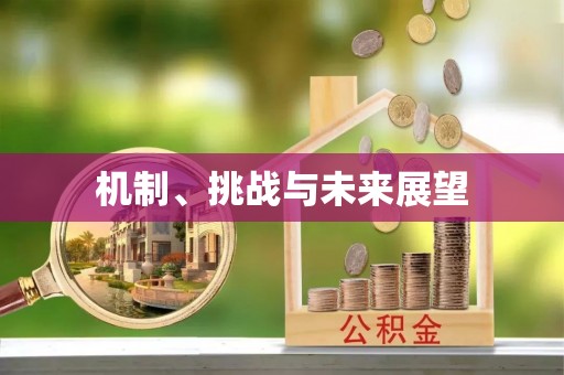 南召机制、挑战与未来展望